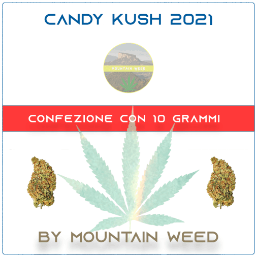 CANDY KUSH 2021 10 grammi