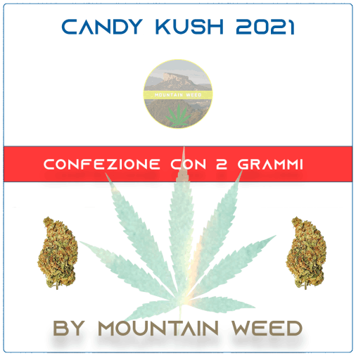 CANDY KUSH 2021 2 grammi