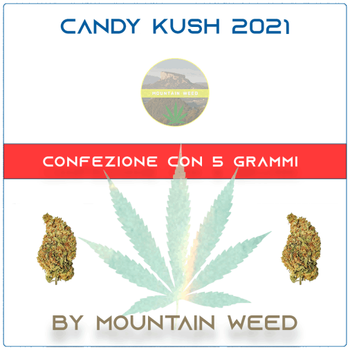 CANDY KUSH 2021 5 grammi