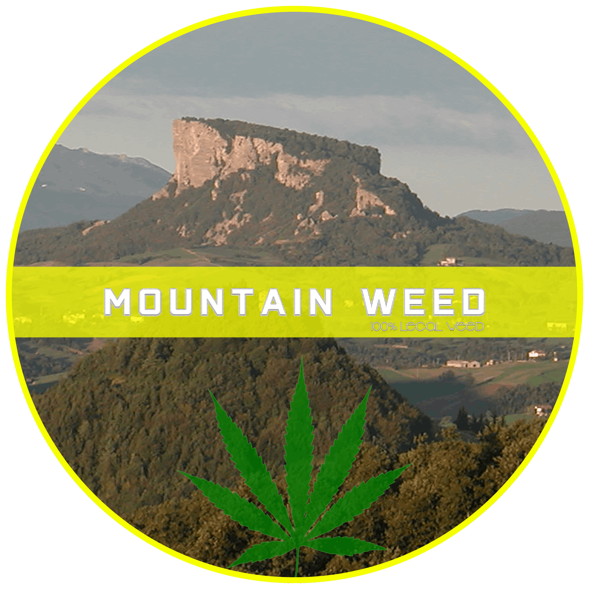 Mountain Weed