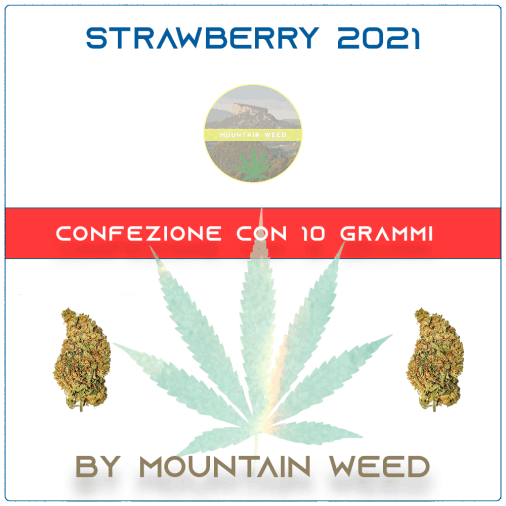 STRAWBERRY 2021 10 grammi