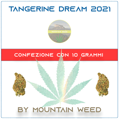 TANGERINE DREAM 2021 10 grammi